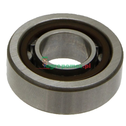  Cylindrical roller bearing